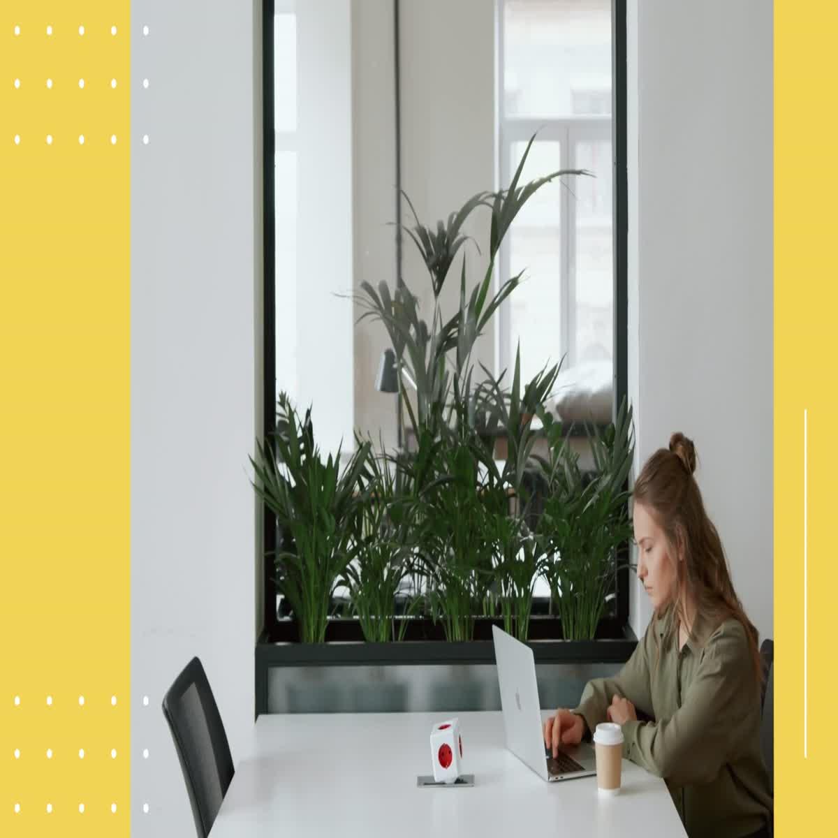 I will write High quality blog posts, SEO articles, ...