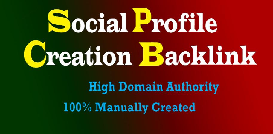 I will manually create 100 social media profile or pr...