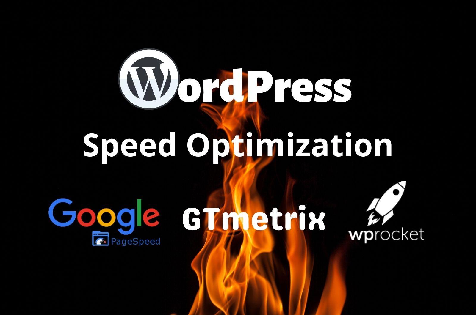 I will improve wordpress speed up for google page spe...