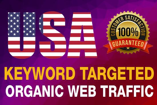 keywords targeted USA traffic real Google organic vis...