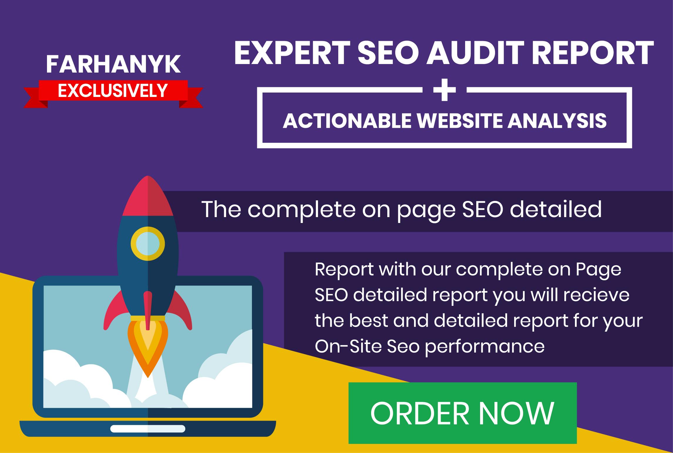 give u a professional step by step SEO audit report f...