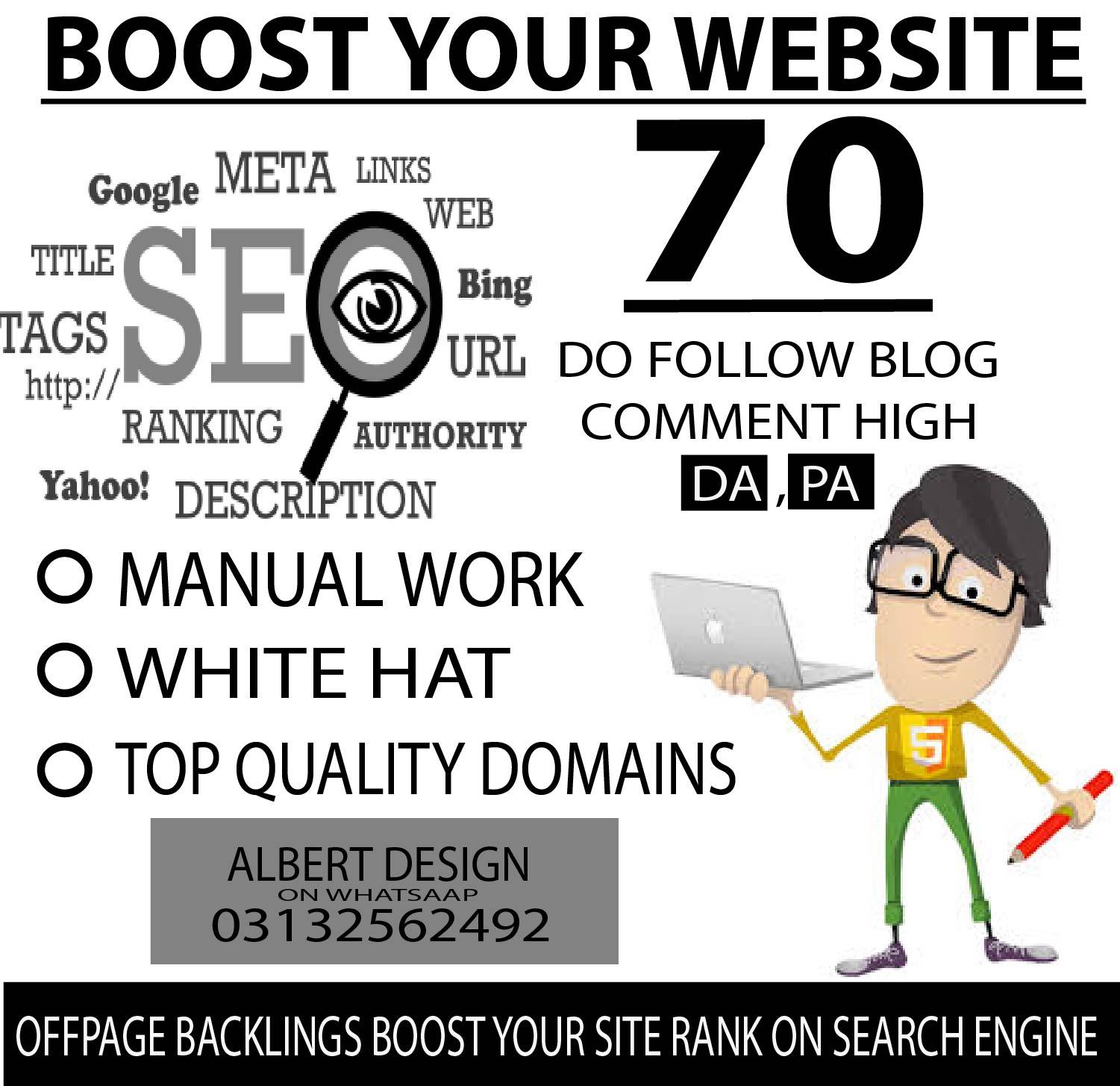 I will do manually niche relevant blog comment backli...