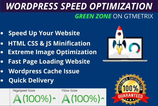 I will do wordpress speed optimization, increase pag...