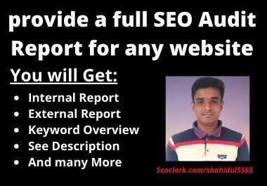 I will provide a full SEO Audit Report for any websit...