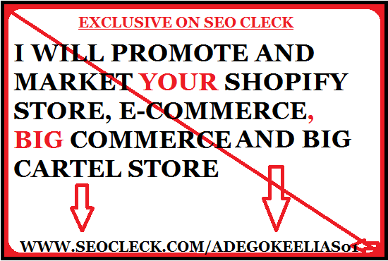 I will build you a high converting dropshipping shopi...