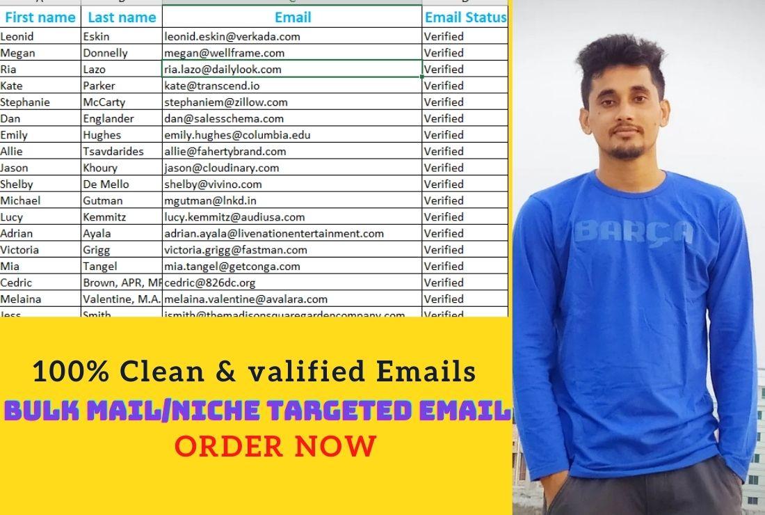 I will provide bulk email, niche targeted email