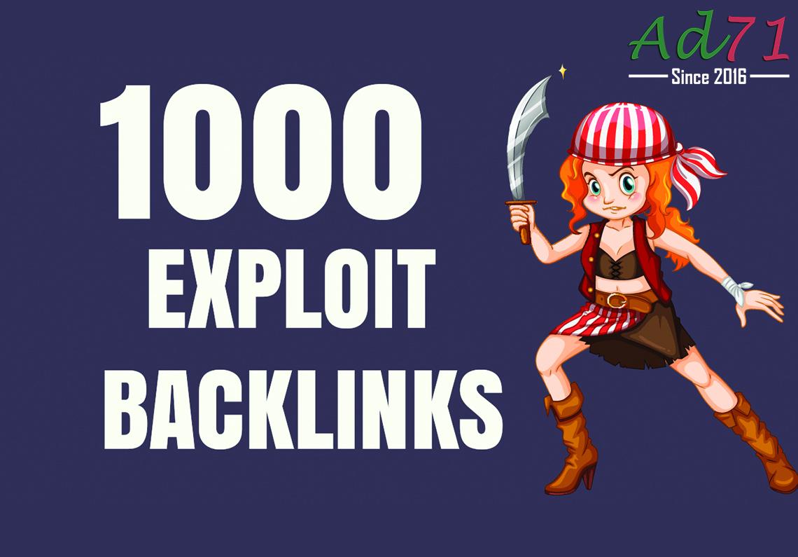 I will provide 1000 Exploit backlinks to push your we...