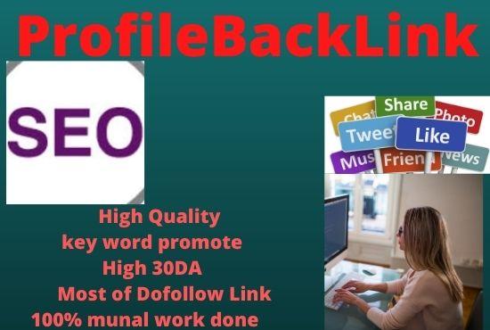 I will create 20 high quality Profile backlinks servi...