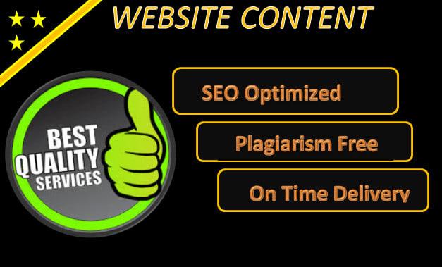 I will write your professional and SEO website conten...