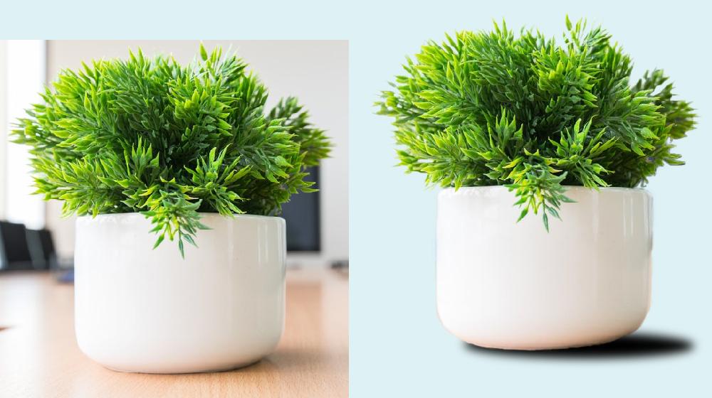 I do background remove, image correction and jewelar...