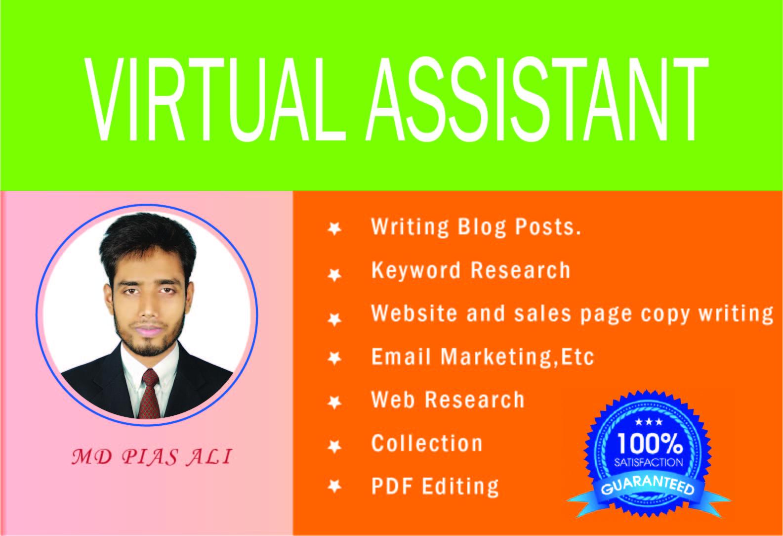 I will Do your professional and personal virtual assi...
