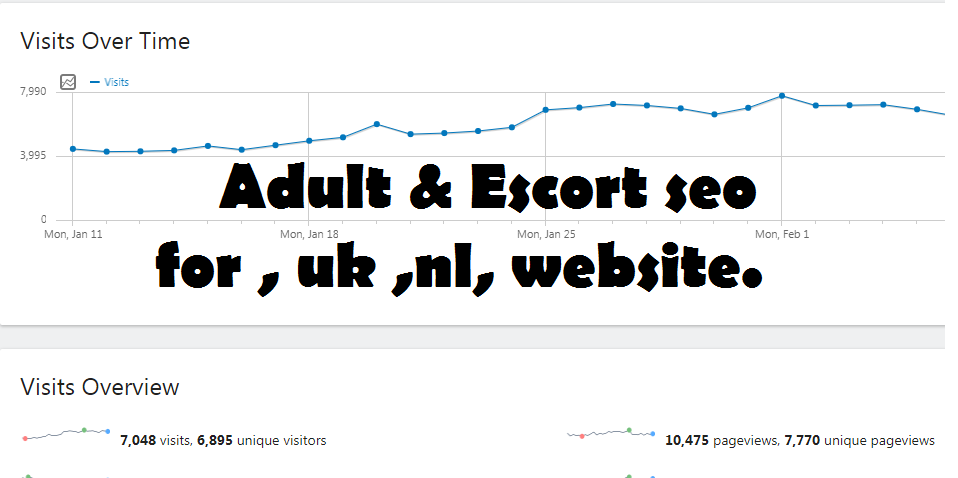 I will do escort website seo for you in low budget