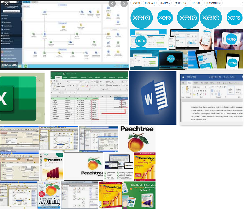 Accounts and Data Entry in QuickBooks Ms Excel and Wo...