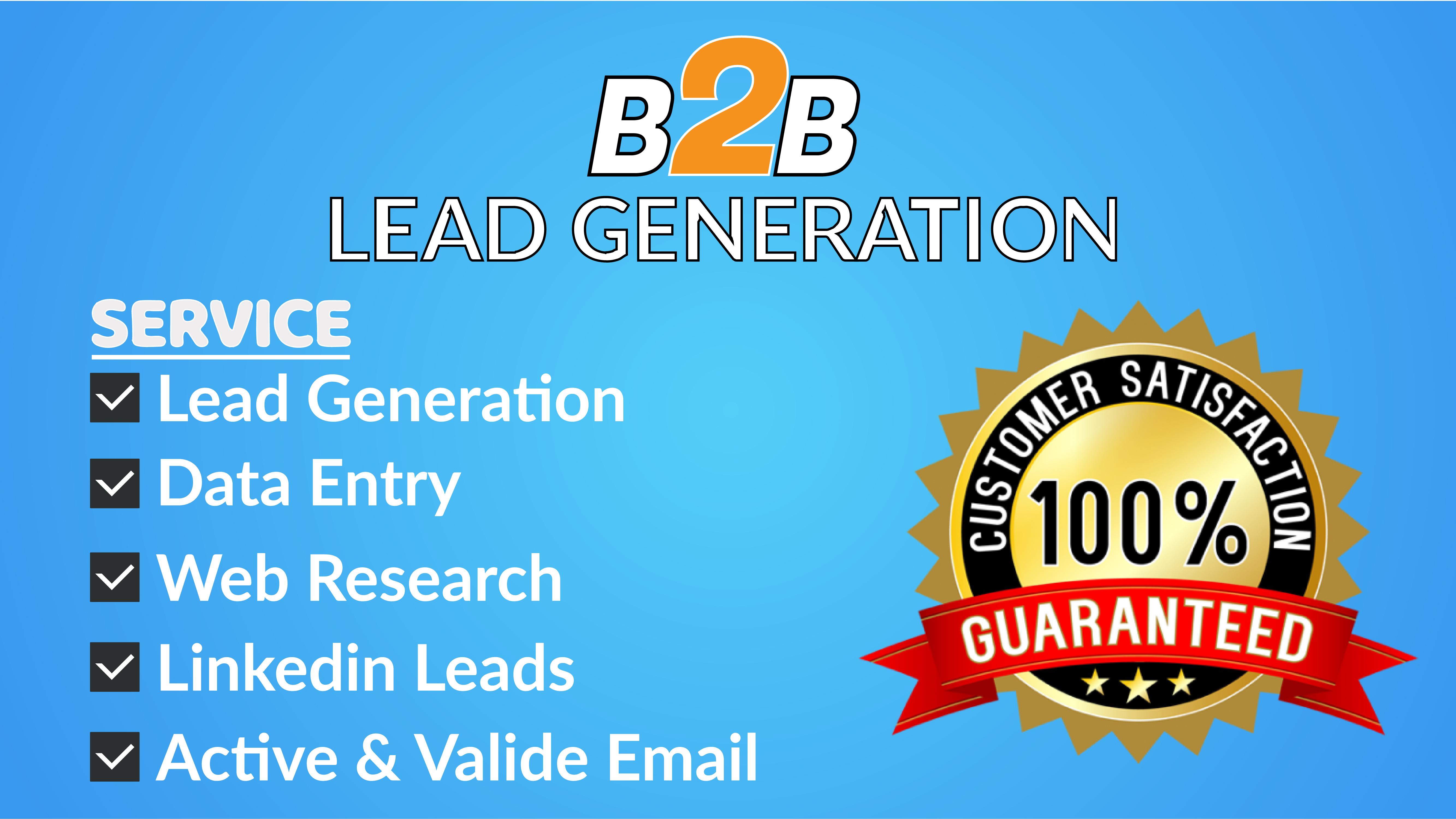 I will do b2b lead generation and data entry