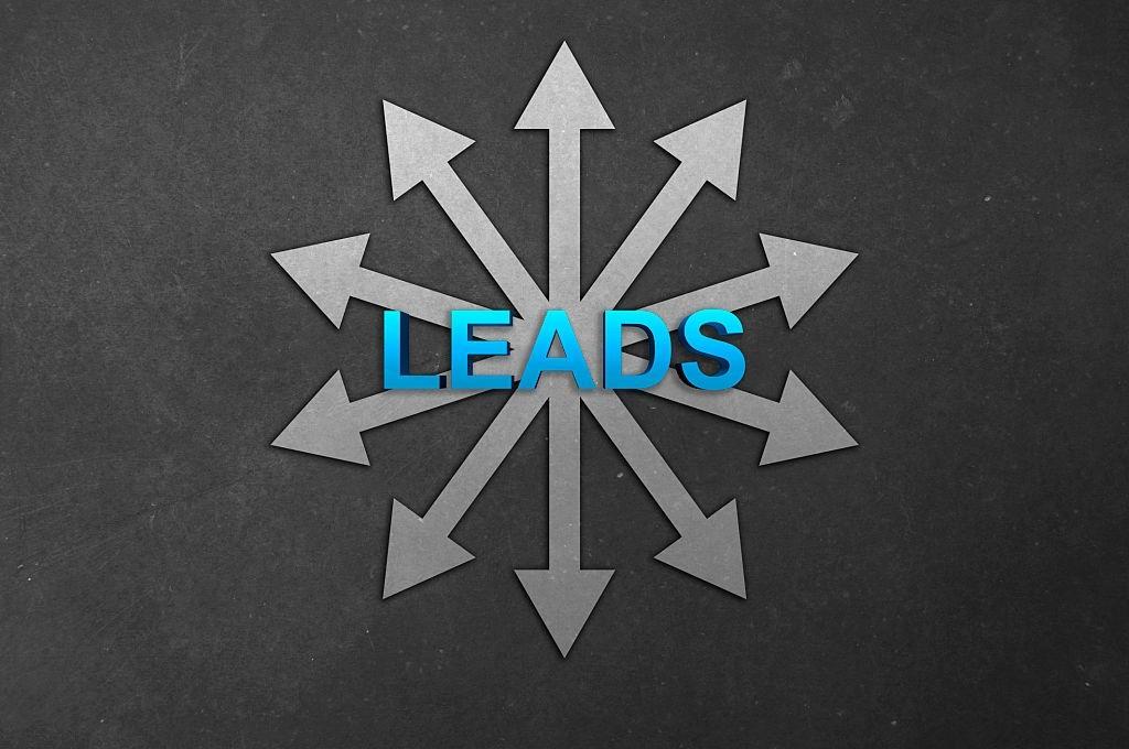 I will do 100 lead generation, your targeted email l...