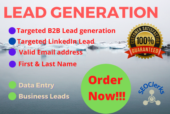 I will expertly create targeted lead generation and e...
