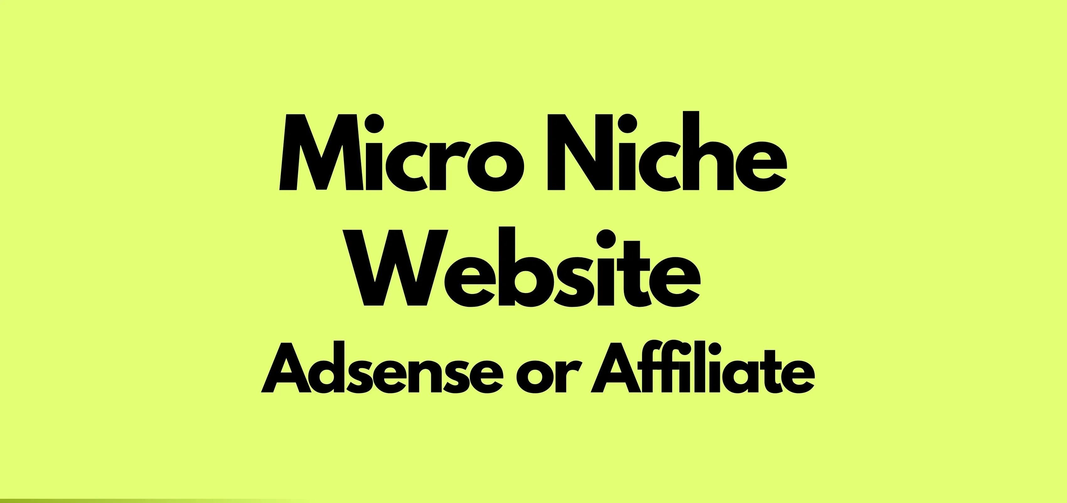 I Will Create An Adsense Micro-Niche Website