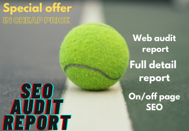I Will create professional SEO audit report for your ...