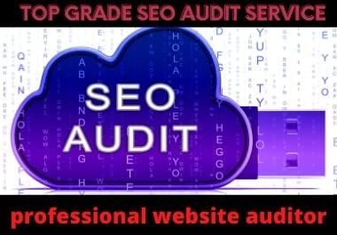 I will audit your website and show problems of your w...