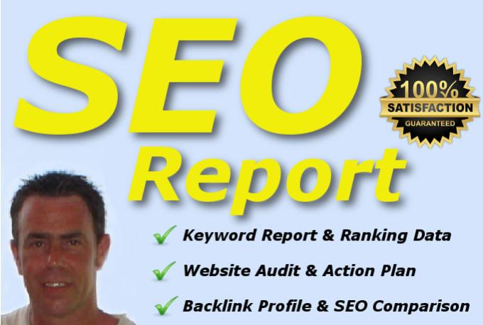 I will deliver a premium SEO report and action plan i...