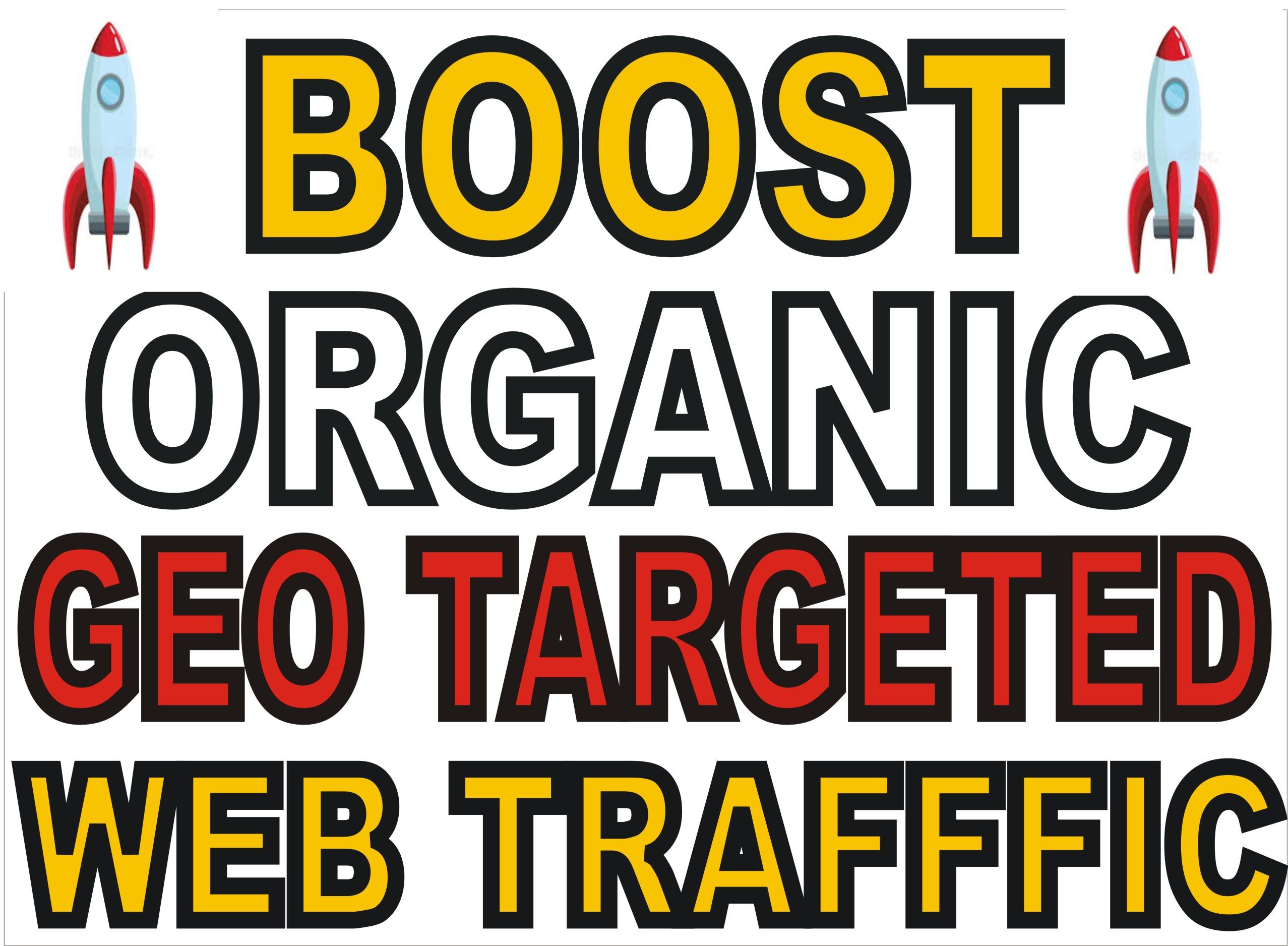 i will drive 30,000 adsense safe targeted organic tra...