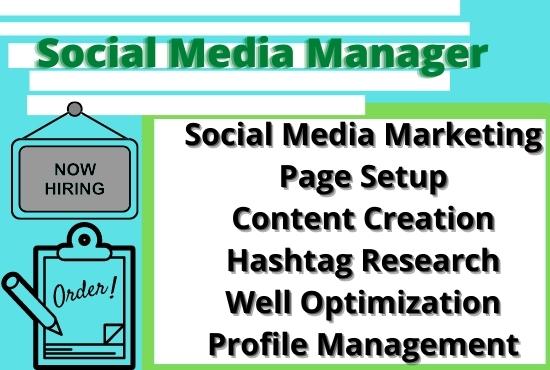 i will do social media marketing manager and virtual ...