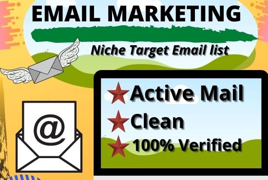 I will provide verified niche-targeted bulk email lis...