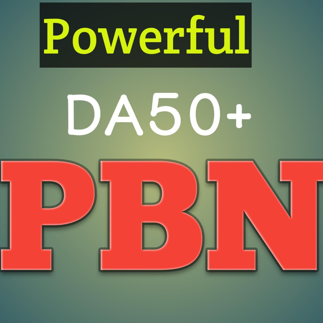 Build powerful 240 Homepage PBN Back links High Quali...