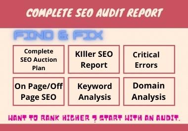 I will do professional seo audit report for your webs...
