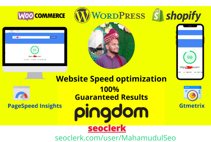 I will do website Pro optimization, increase page sp...