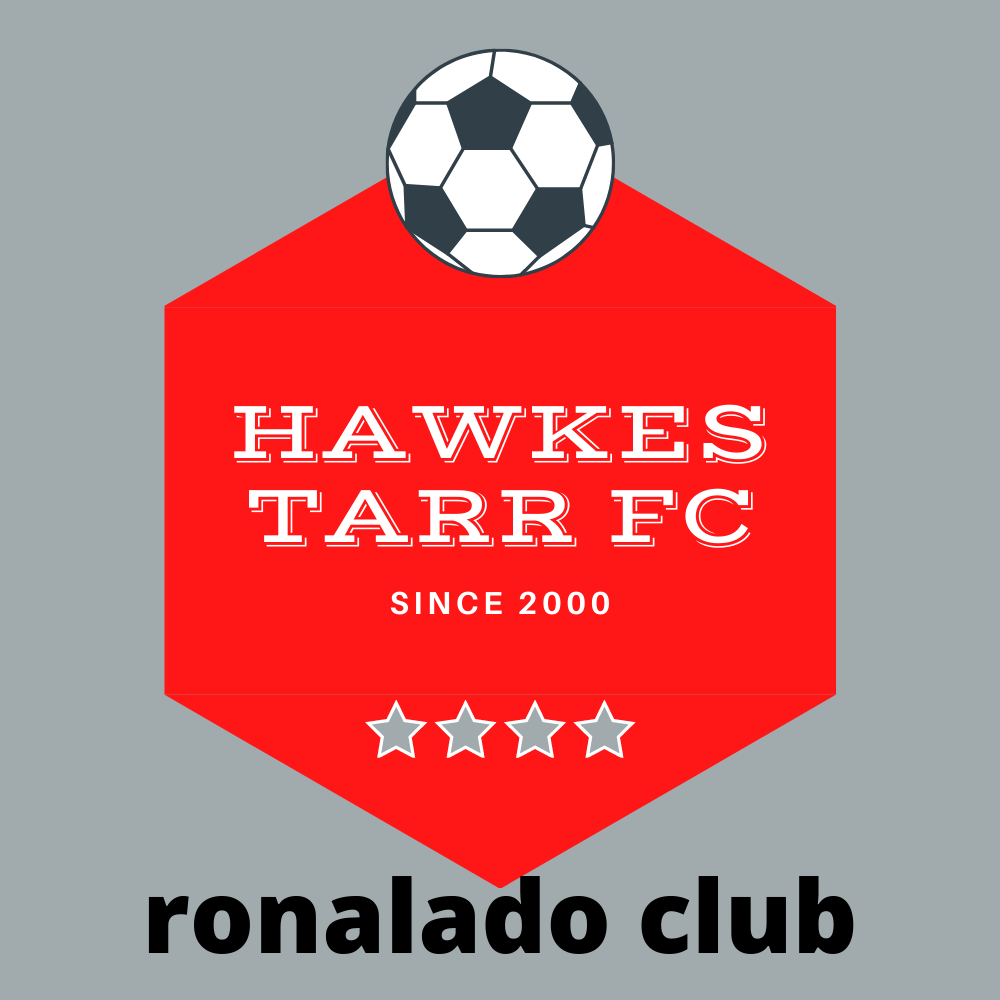 I will create custom intro logo