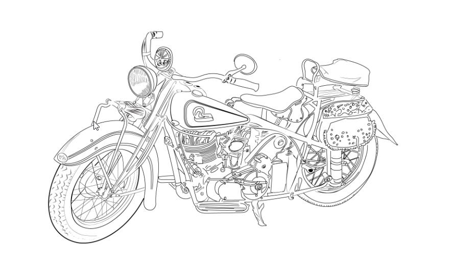 I will draw detail line art illustration vector