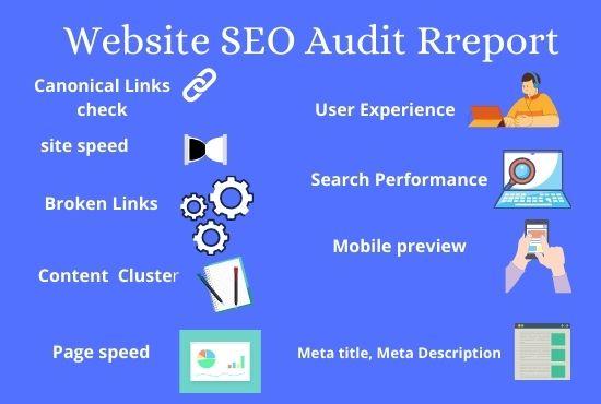 I will do technical website SEO audit report with act...
