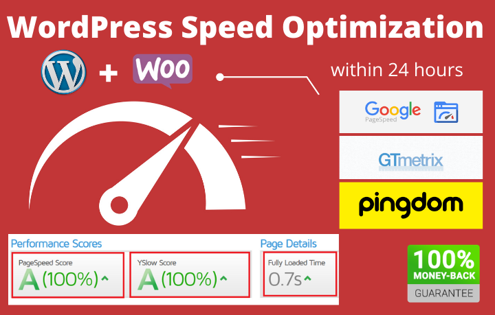 I will optimize wordpress website speed above 90 on g...