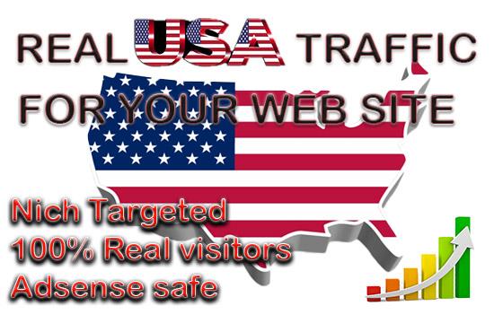 I will bring USA targeted daily visitors for your web...