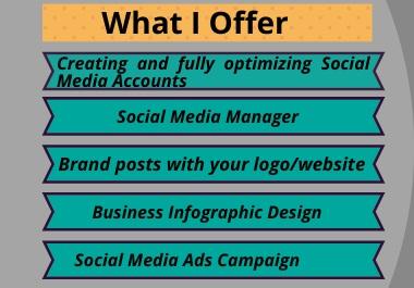 social media manager and social media ads campaign