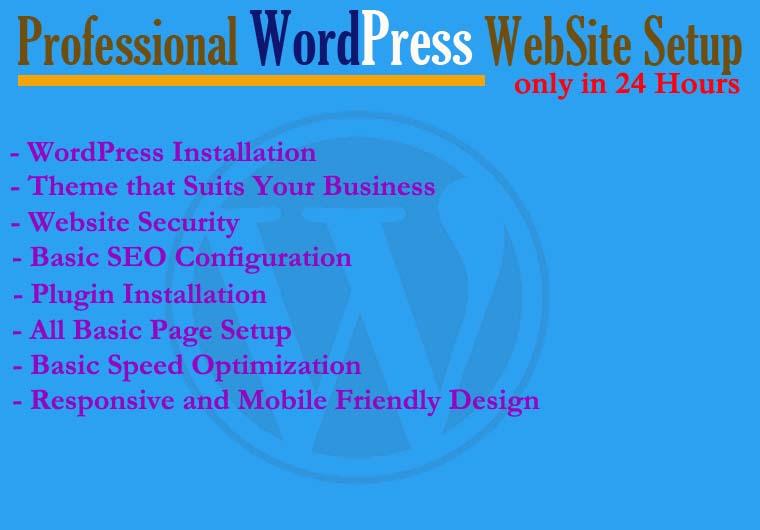 Professional Responsive WordPress WebSite Setup in Ju...