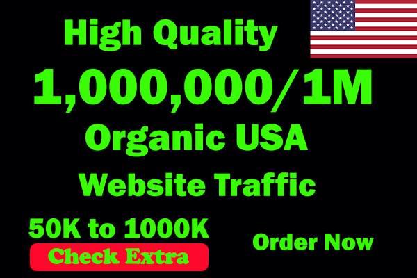 I will Drive 1 Million USA Keyword Targeted/Social Me...