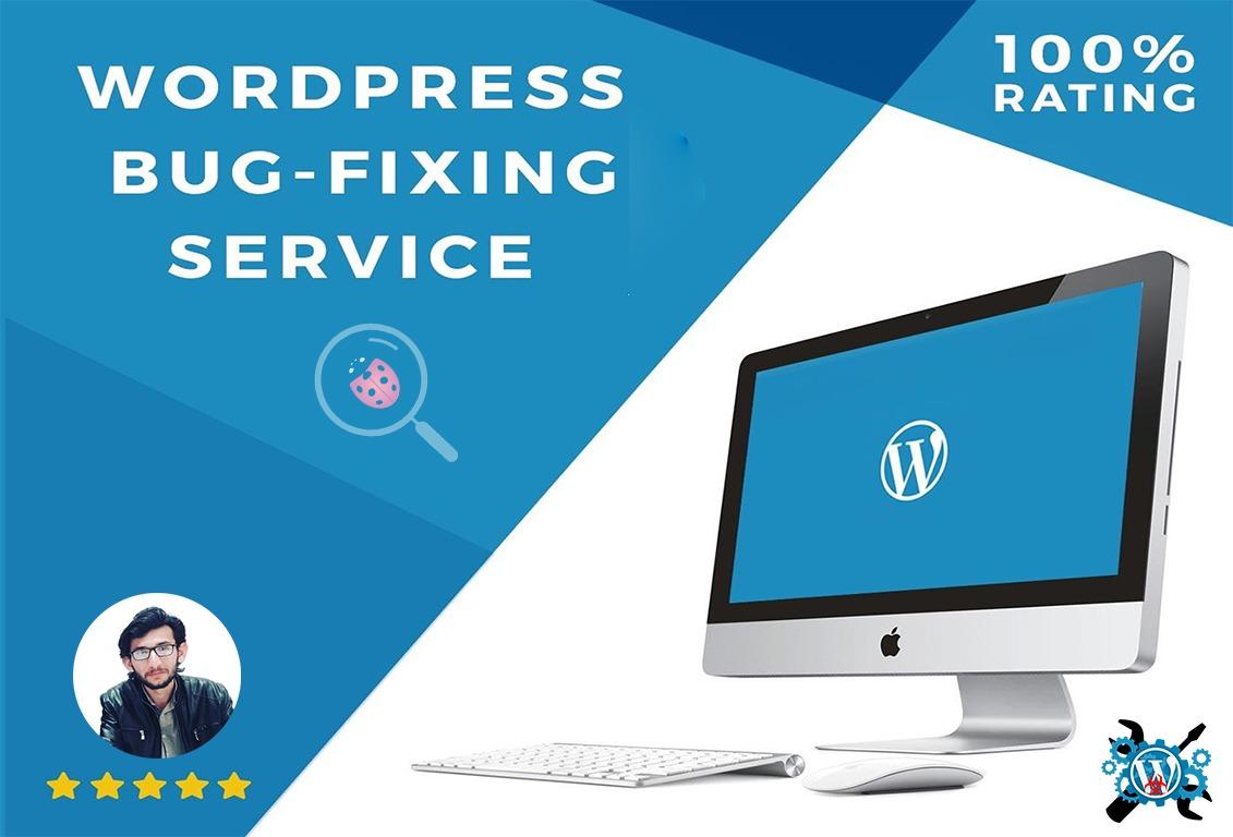 i will remove bugs of wordpress website