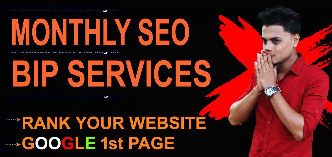 I will do white hat monthly SEO service manual high q...