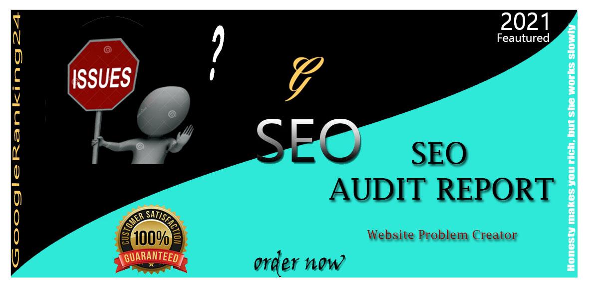 Create Professional SEO Audit Report And manually Fin...