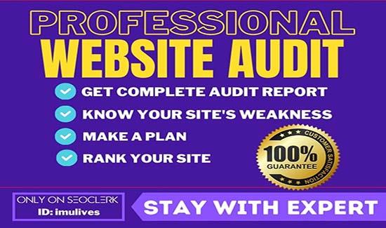 I Will Audit Your Website and Send You the Full Repor...
