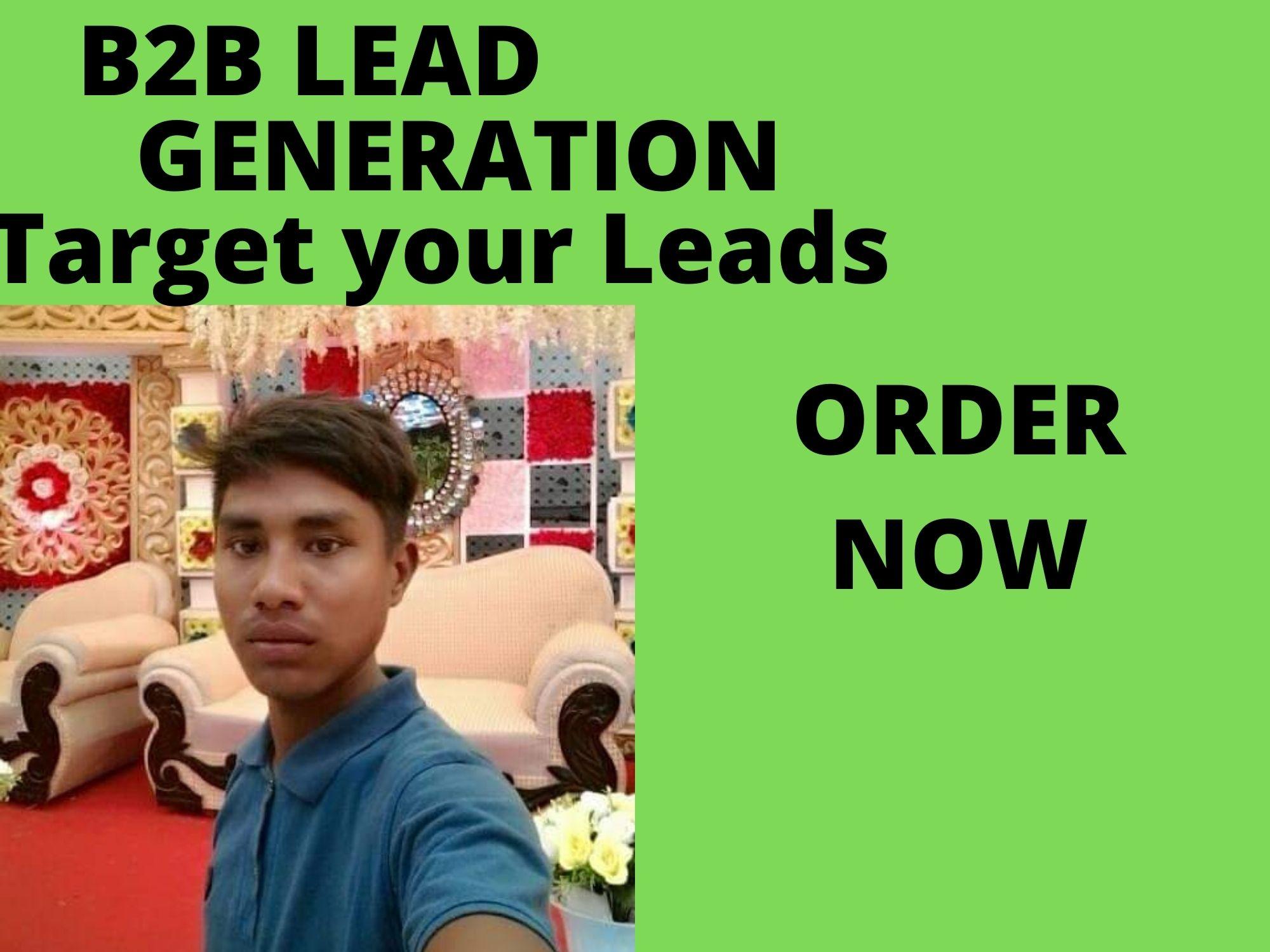 I will do b2b lead generation for your Targeted Niche...