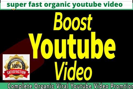 I will do super fast organic youtube video promotion ...