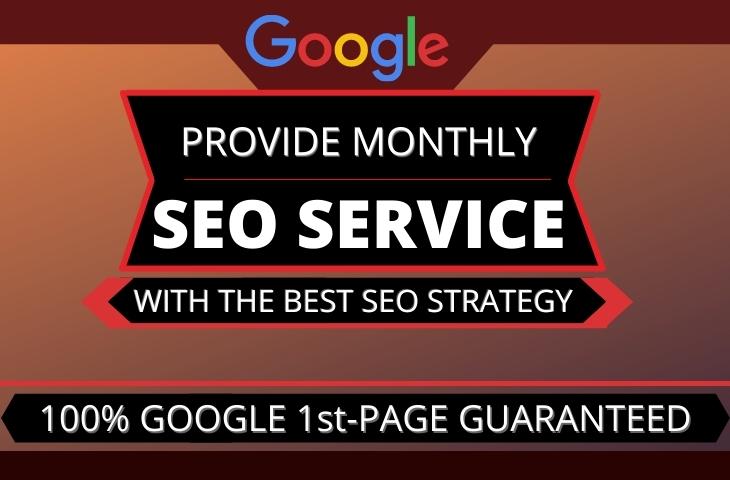 I will provide monthly wordpress SEO service for goog...