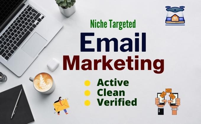 I will collect a niche-targeted bulk email list for e...