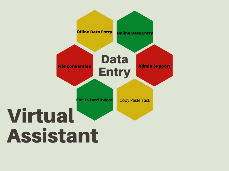 I can support your virtual assistant for data entry, ...
