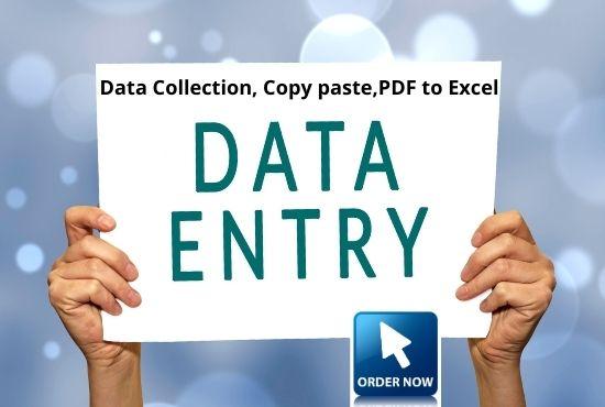 I will do your Data entry, Copy and paste and web re...