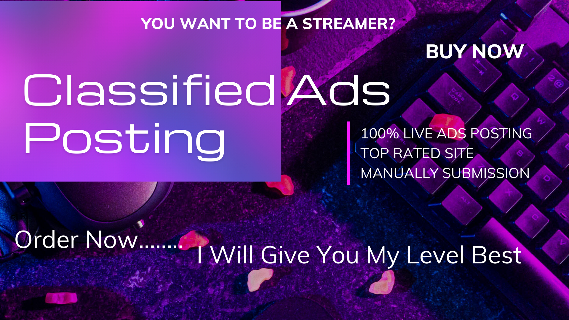 I will do 100 classified ads posting for your website...