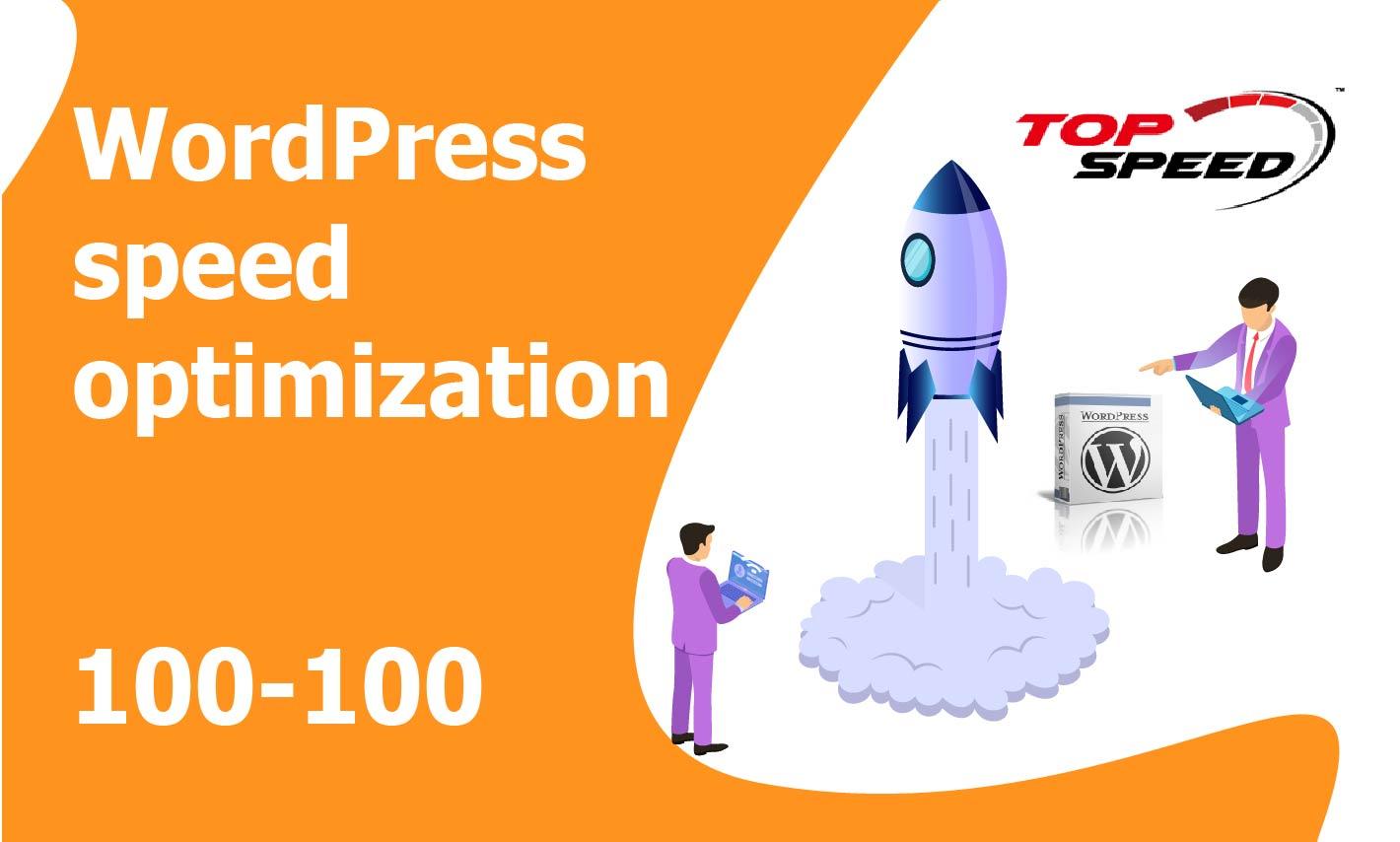 I will do optimization speed up wordpress website and...